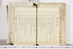 明い026010120006.jpg