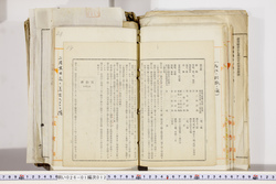 明い026010120010.jpg