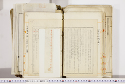 明い026010120011.jpg