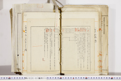 明い026010120014.jpg