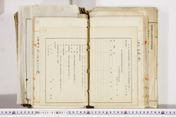 明い026010120017.jpg
