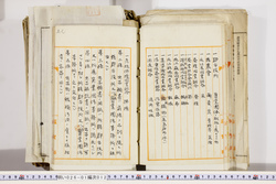 明い026010120019.jpg