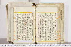 明い026010120020.jpg