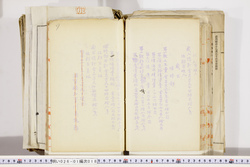 明い026010180005.jpg