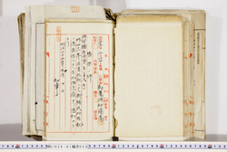 明い026010200003.jpg