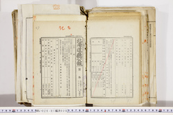 明い026010200031.jpg