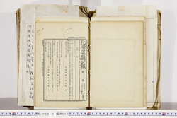 明い026010300012.jpg