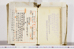 明い026010310003.jpg