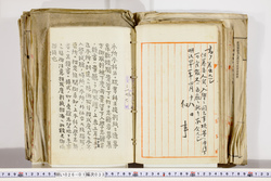 明い026010330002.jpg
