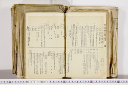 明い026010330006.jpg