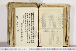 明い026010330007.jpg