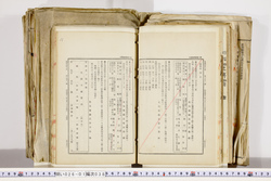 明い026010380004.jpg