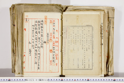 明い026010380008.jpg