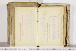 明い026010420004.jpg
