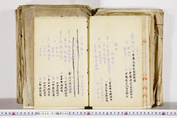 明い026010490004.jpg