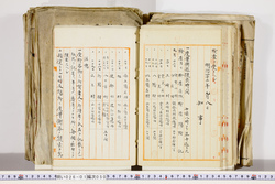明い026010500002.jpg