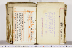 明い026010570003.jpg