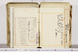 明い026010620002.jpg