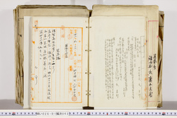 明い026010620004.jpg