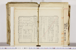 明い026010660006.jpg