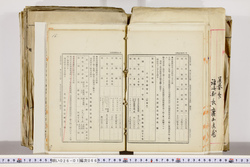 明い026010660007.jpg