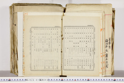 明い026010680004.jpg