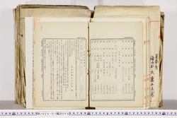 明い026010680007.jpg