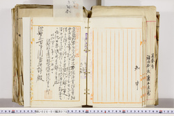 明い026010700003.jpg