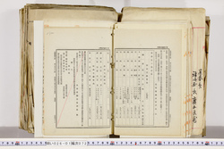 明い026010720006.jpg