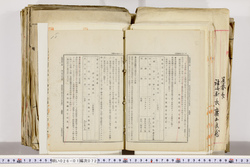 明い026010720009.jpg