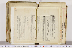明い026010720010.jpg