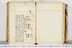 明い026020010003.jpg