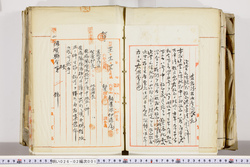 明い026020010005.jpg