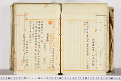 明い026020050002.jpg