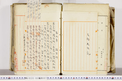明い026020070004.jpg