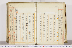明い026020080005.jpg