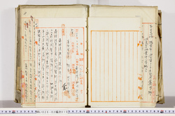 明い026020100003.jpg