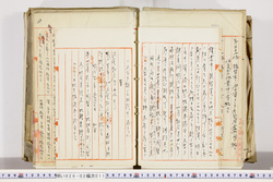 明い026020110002.jpg