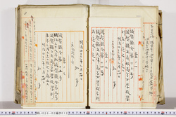 明い026020120002.jpg