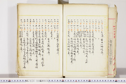 明い026040000003.jpg