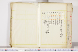 明い026040000005.jpg