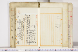 明い026040120002.jpg