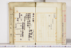 明い026040130002.jpg
