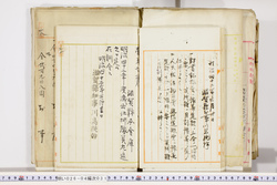 明い026040310002.jpg