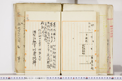 明い026040370002.jpg