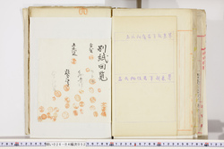 明い026040520004.jpg