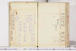 明い026040570002.jpg