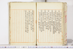明い026040610002.jpg