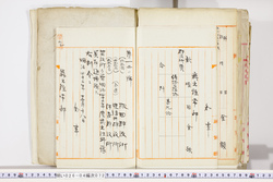 明い026040720002.jpg