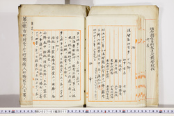 明い027010110002.jpg